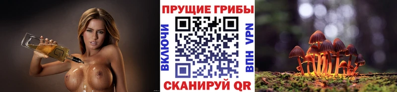 Псилоцибиновые грибы MAGIC MUSHROOMS  Купить где  Новоульяновск 